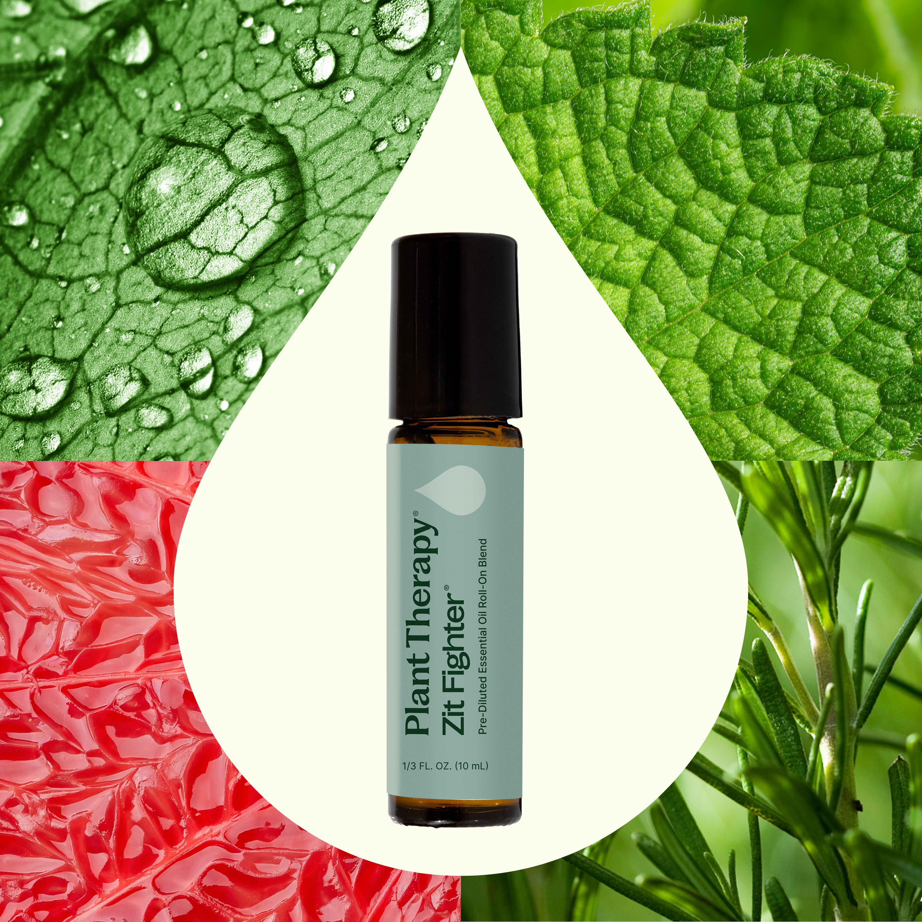 Zit Fighter Essential Oil Blend Pre-Diluted Roll-On - Image 2
